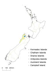 Cardamine porphyroneura distribution map based on databased records at AK, CHR, OTA & WELT.
 Image: K.Boardman © Landcare Research 2018 CC BY 4.0